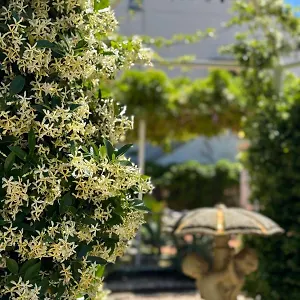 Angelina , Giardini Naxos Italia